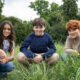 Arabella Stanton, Dominic Mclaughlin e Alastair Stout são o novo trio de protagonistas da série Harry Potter da HBO Max.